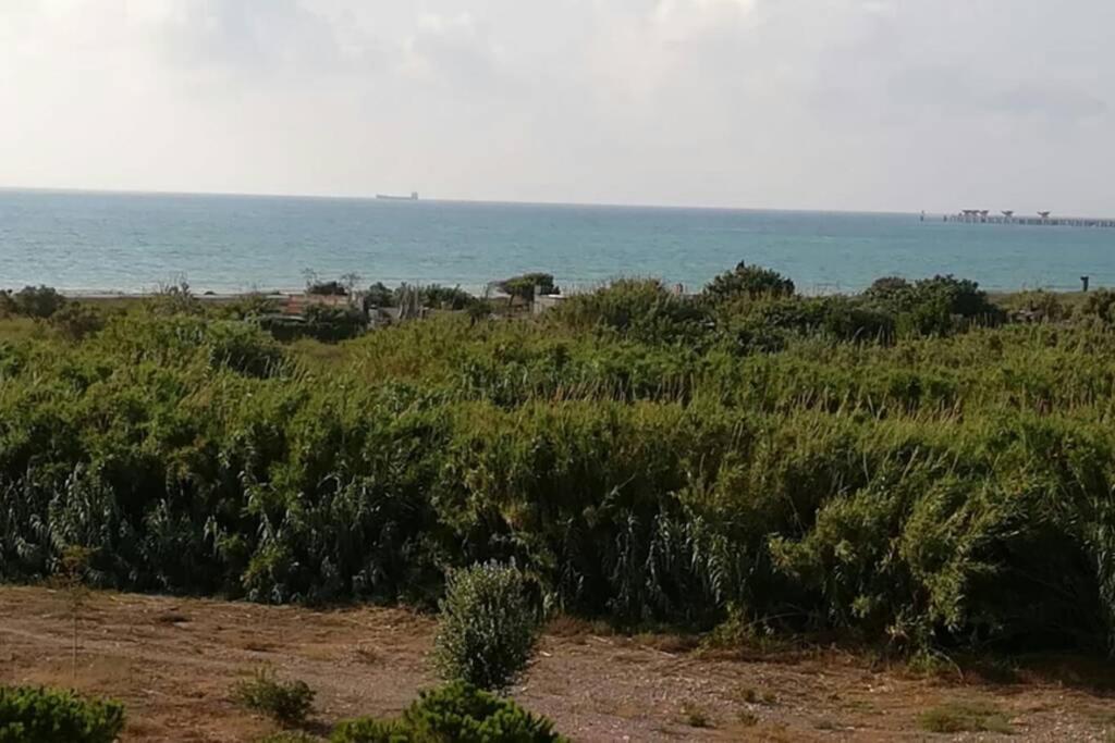 Apartamento Playa Canet บาเลนเซีย ภายนอก รูปภาพ